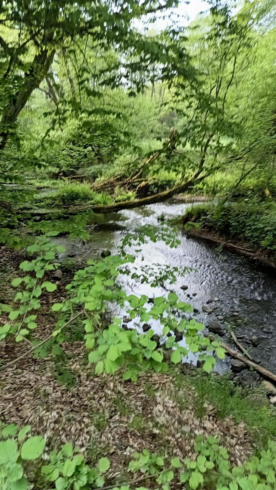 Agroturystyka Dana Debrzno Экстерьер фото