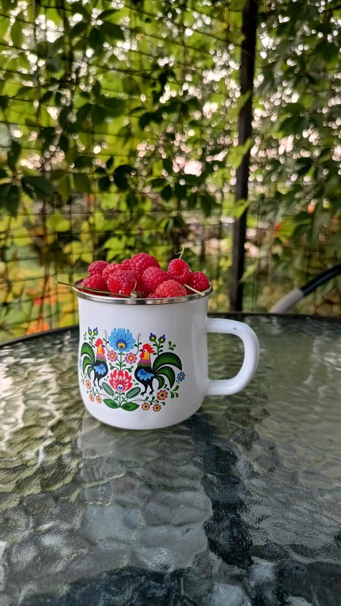 Agroturystyka Dana Debrzno Экстерьер фото